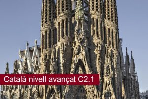 Català nivell avançat C2